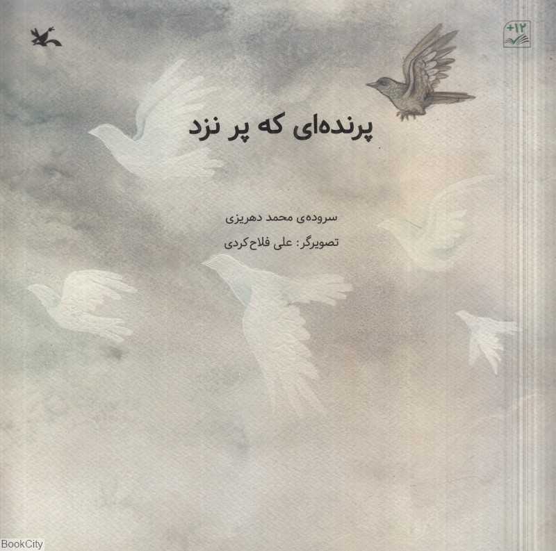 پرنده‌ای که پر نزد (تصویرگر علی فلاح کردی)