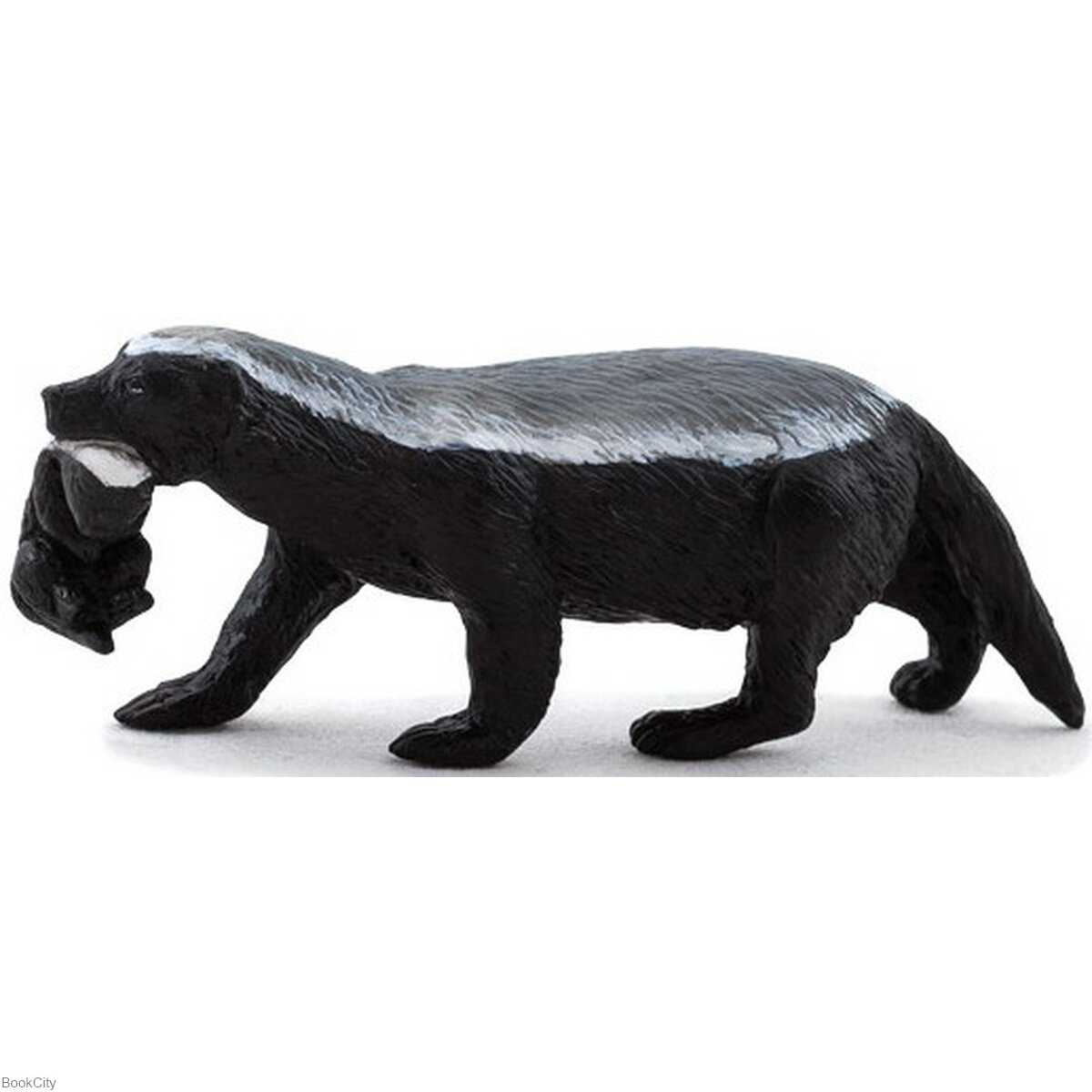 Honey Badger Female With Cub 387153