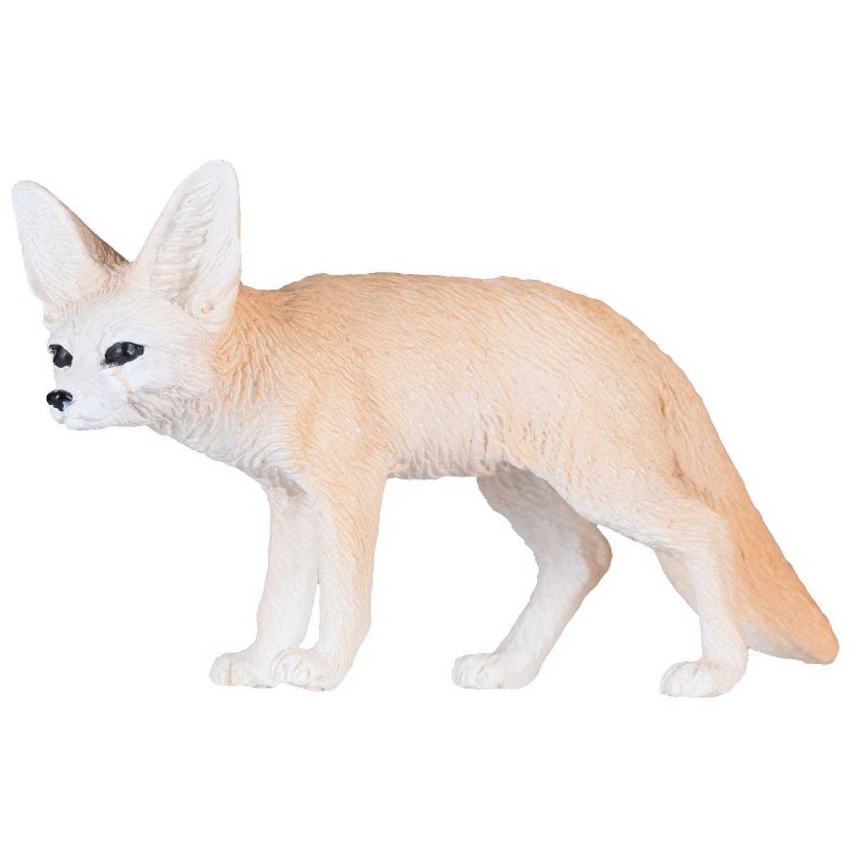 Fennec Fox 381055