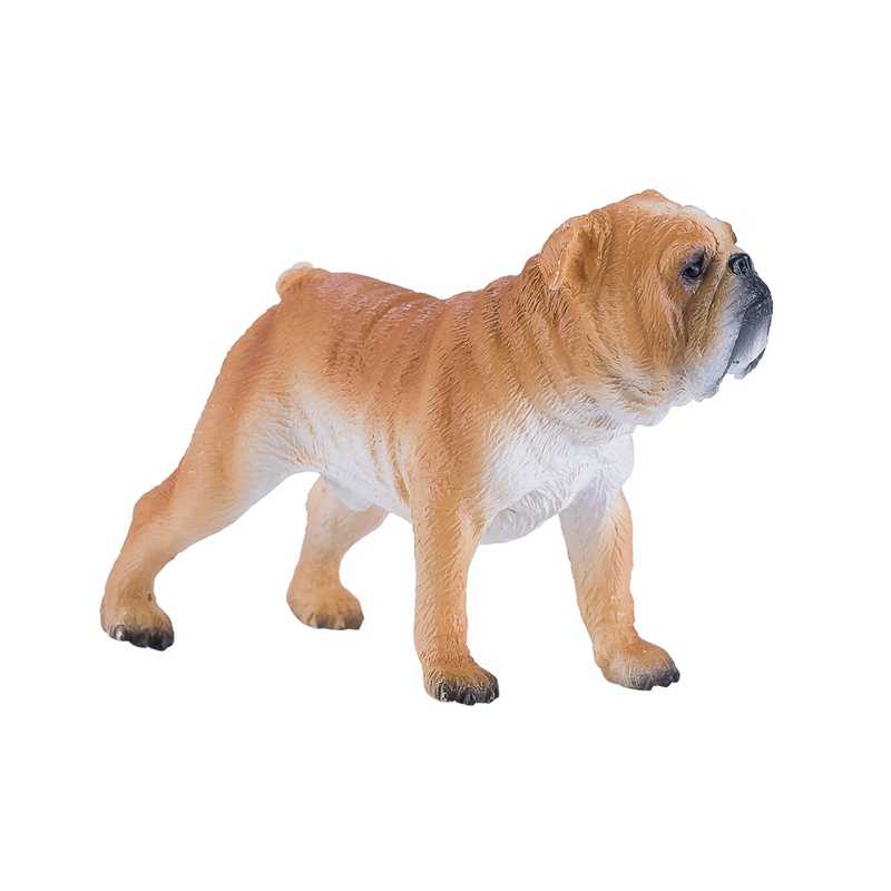 English Bulldog 381053