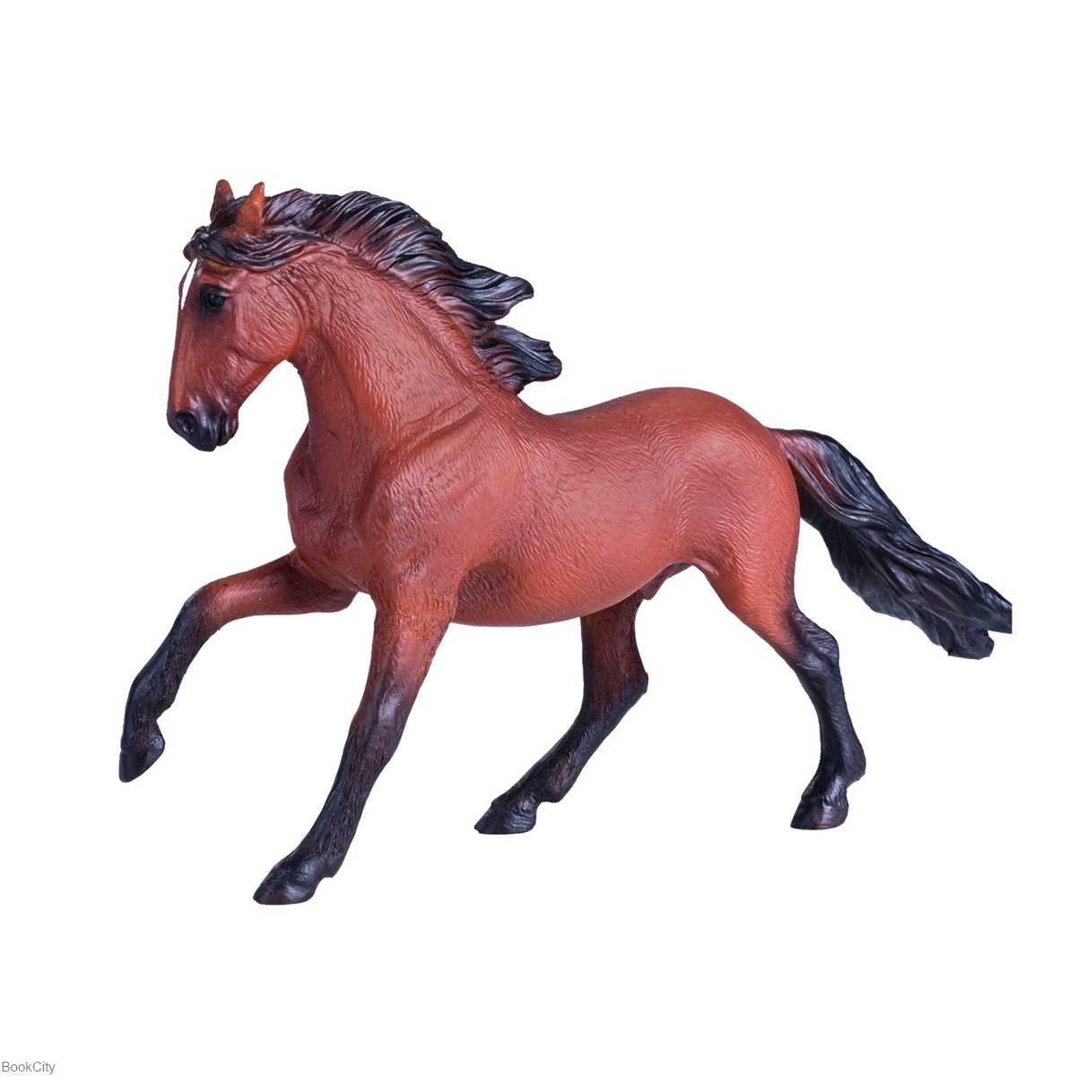 Lusitano Bay 381002