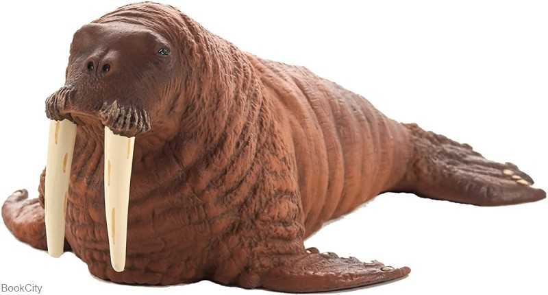 Walrus 387209