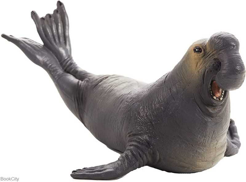 Sea Elephant 387208