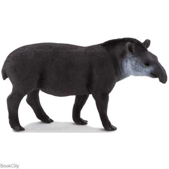 Brazilian Tapir 381023-387178