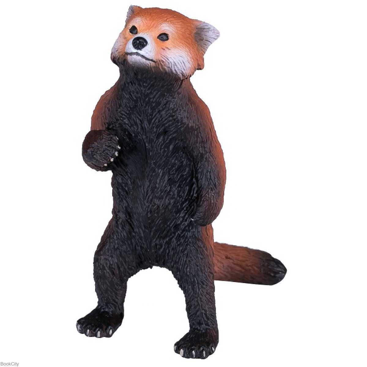 Red Panda 387376