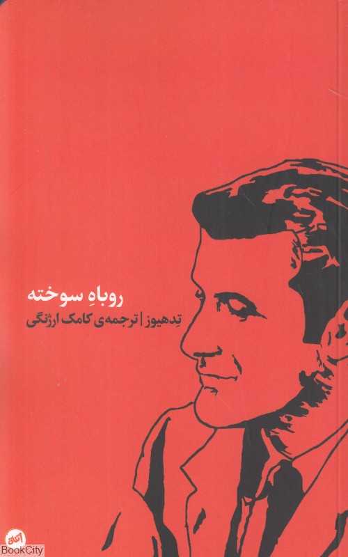 روباه سوخته (برگزیده اشعار سه دفتر اول)