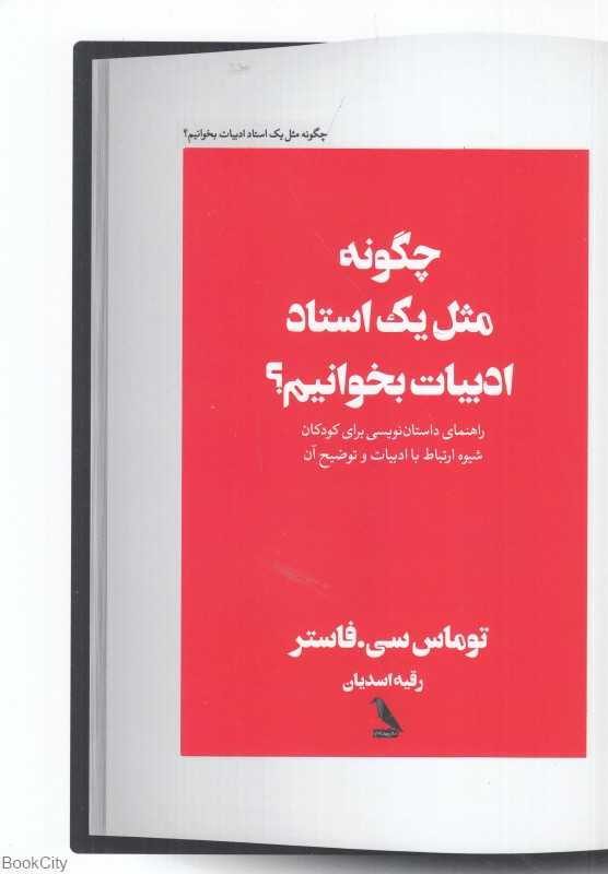 چگونه مثل یک استاد ادبیات بخوانیم