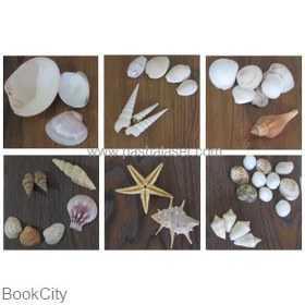 item.website_item_name