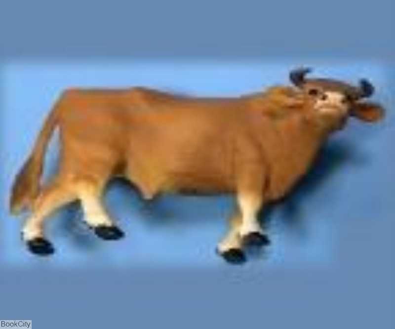 گاو نر آنگوس MAKtoys 002011