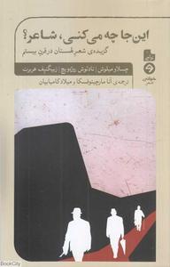 item.website_item_name