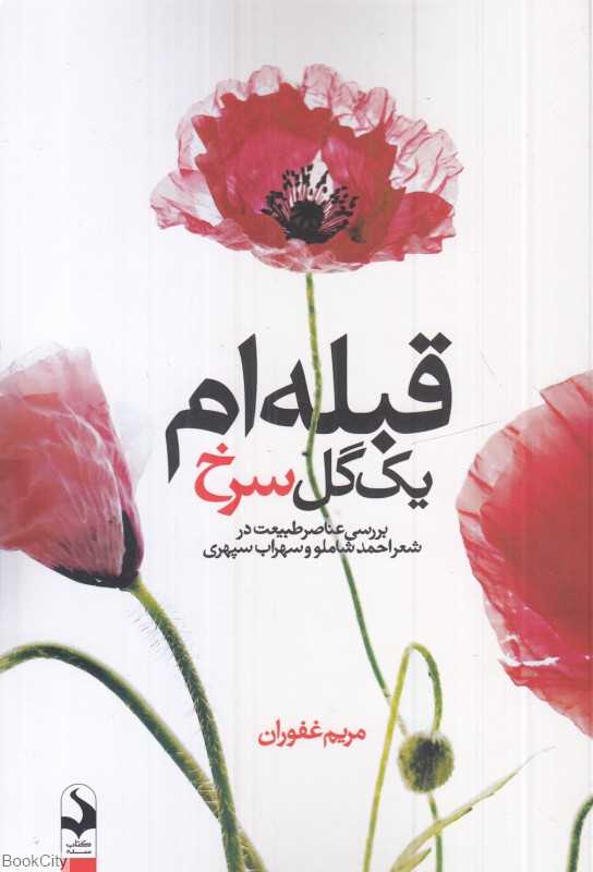 قبله‌ام یک گل سرخ