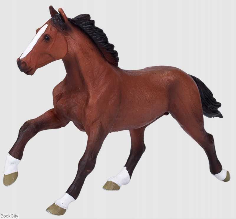 Thoroughbred Horse 387291