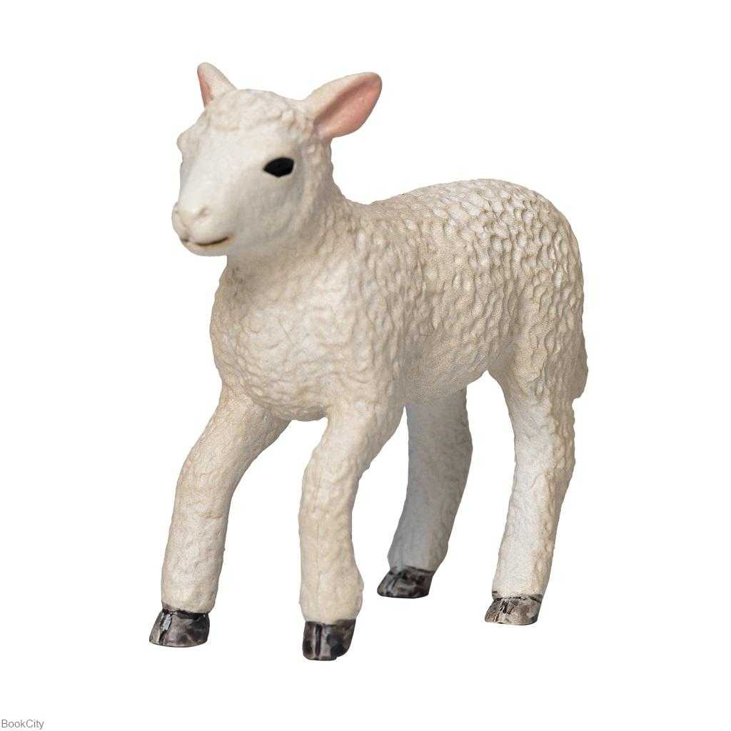 Romney Lamb Running 381066