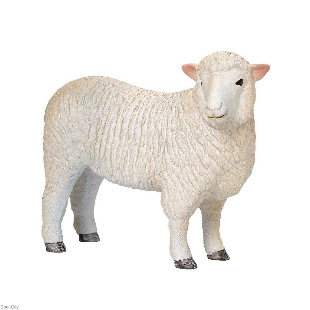 Farmland Romney Sheep 381064