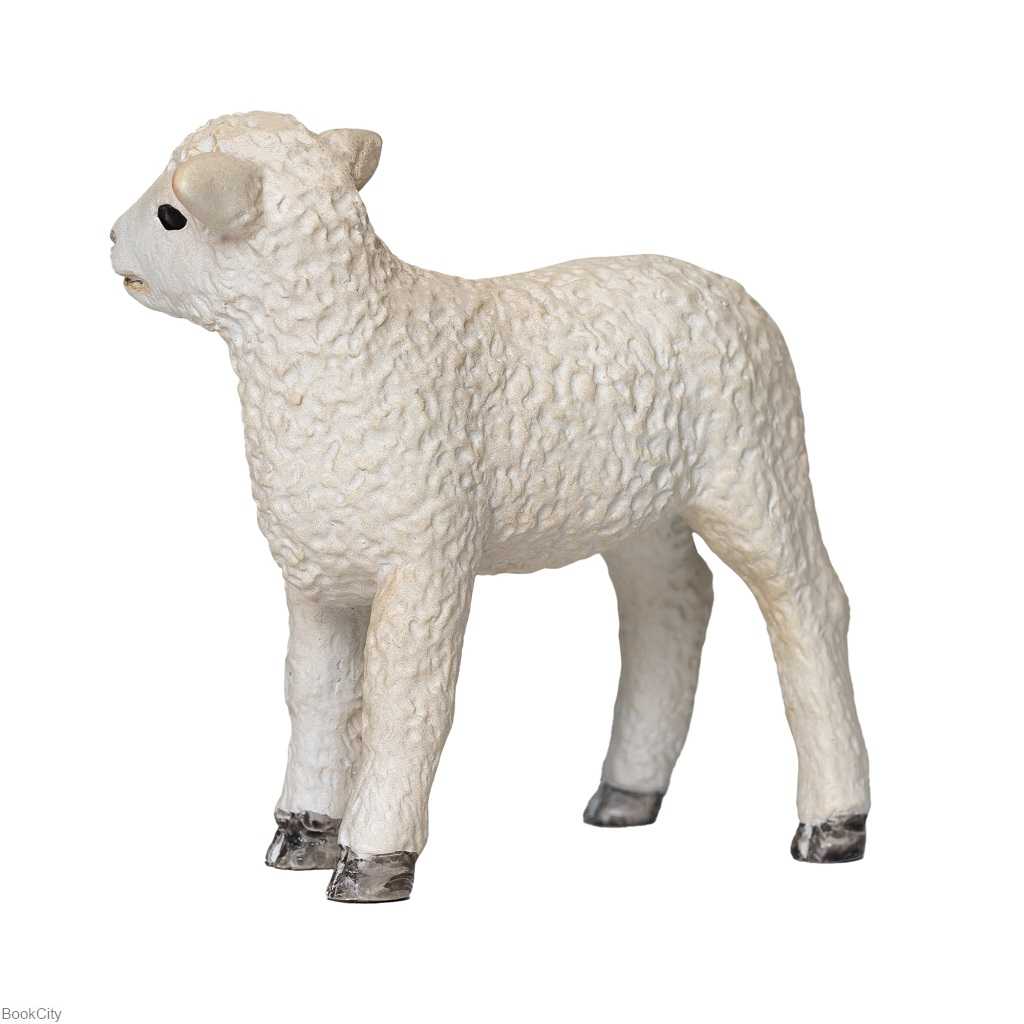 Romney Lamb standing 381065