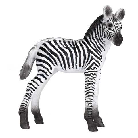 zebra foal 387394