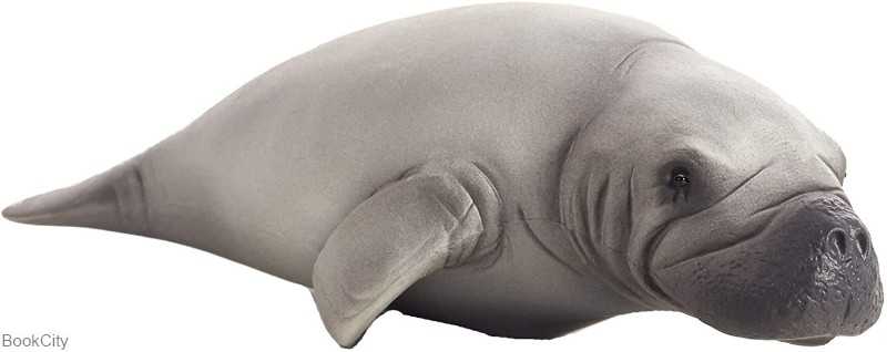 Manatee 387211