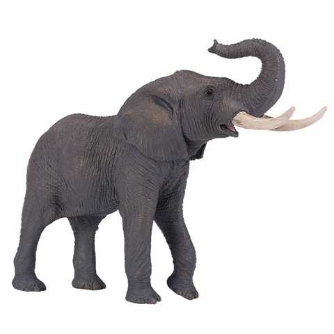 African Elephant 381005
