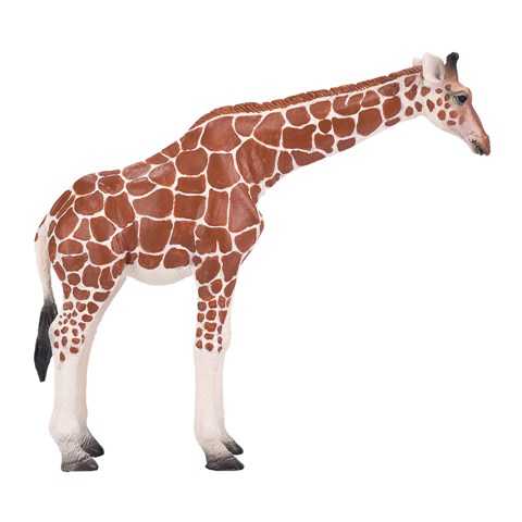 Giraffe Female 381033