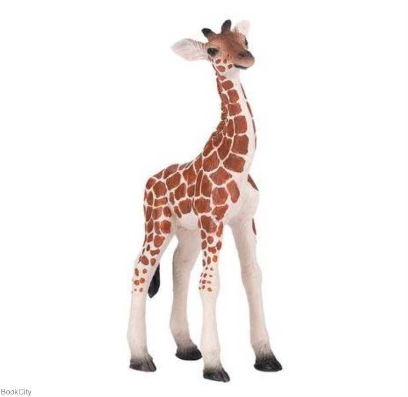 Giraffe Calf 381034