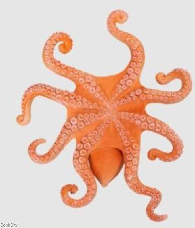 Oktopus 381036