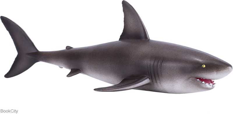 Great White Shark 381012