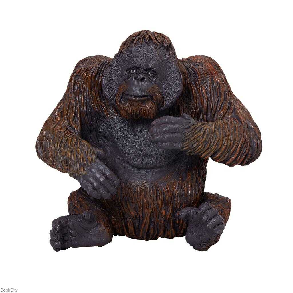 Orangutan 381028
