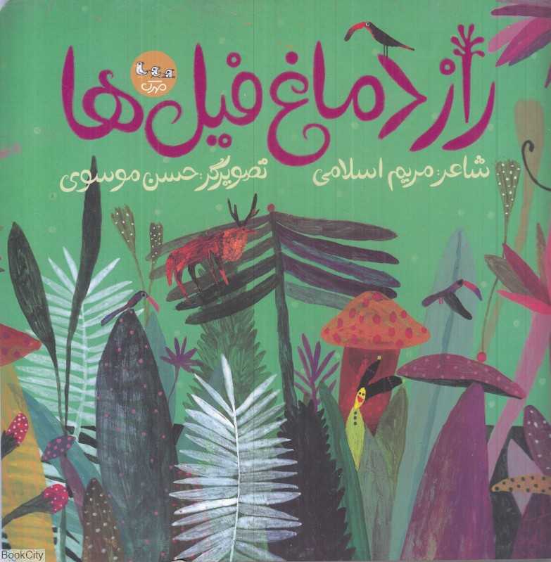 راز دماغ فیل‌ها