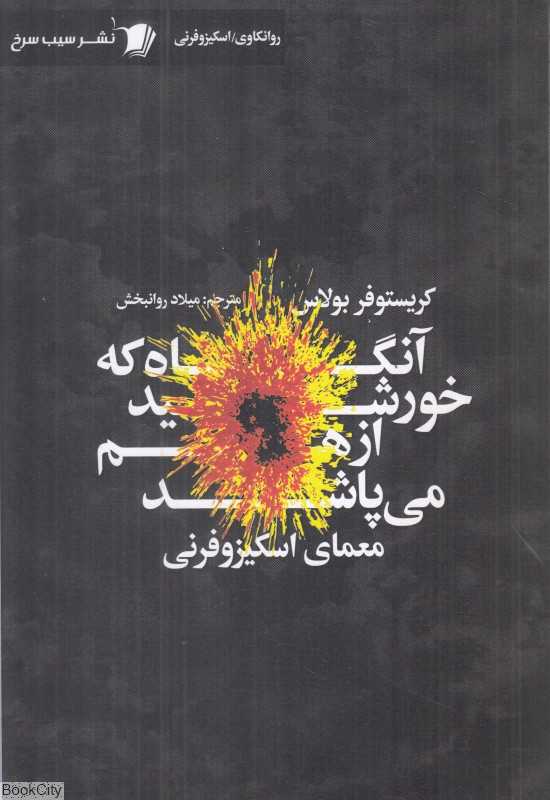 آنگاه که خورشید از هم می‌پاشد (معمای اسکیزوفرنی)