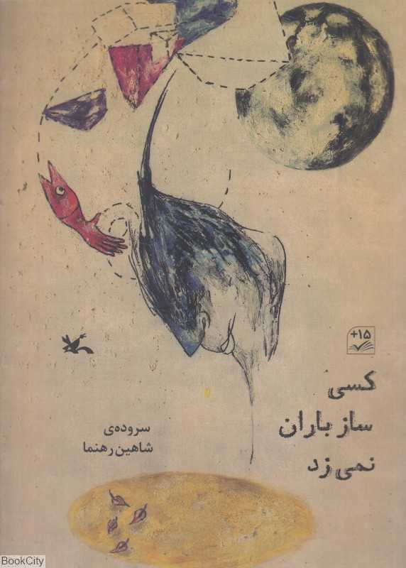کسی ساز باران نمی‌زد