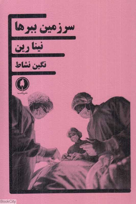 سرزمین ببرها