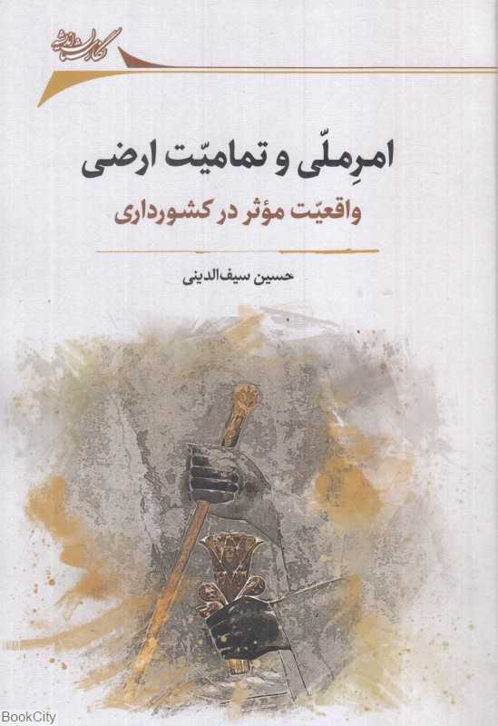 امرملی و تمامیت ارضی (واقعیت موثر در کشورداری)