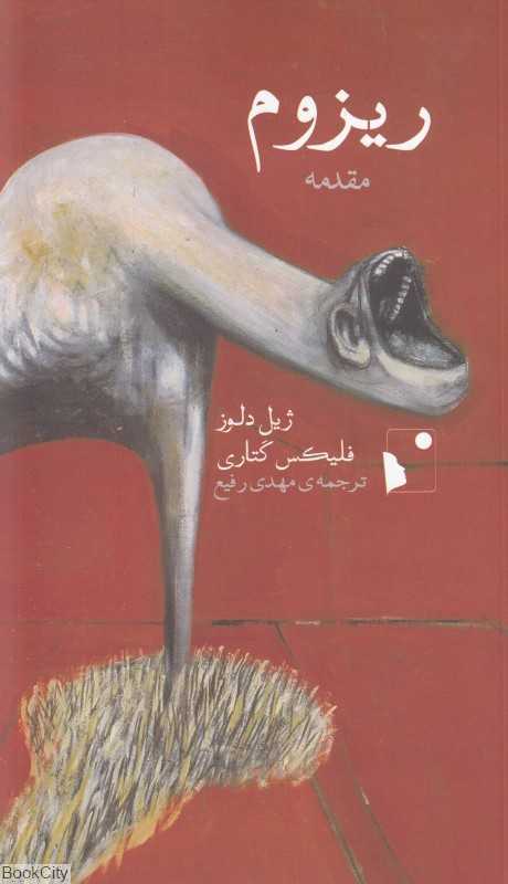 ریزوم