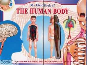 My First Book of the Human Body