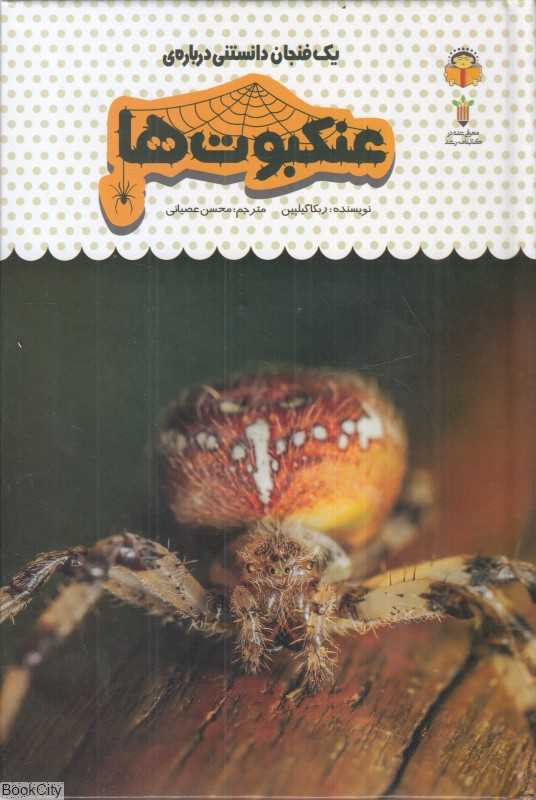 یک فنجان دانستنی درباره عنکبوت‌ها