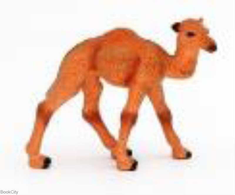 بچه شتر عربی Maktoys 079011