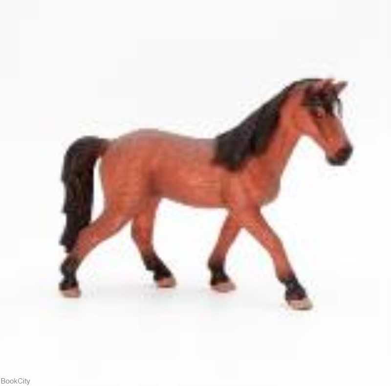 اسب مادیان بلژیکی Maktoys 085011