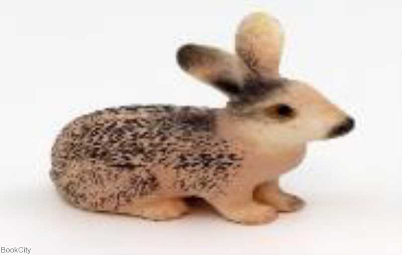 خرگوش 1 Maktoys 109011 - 0