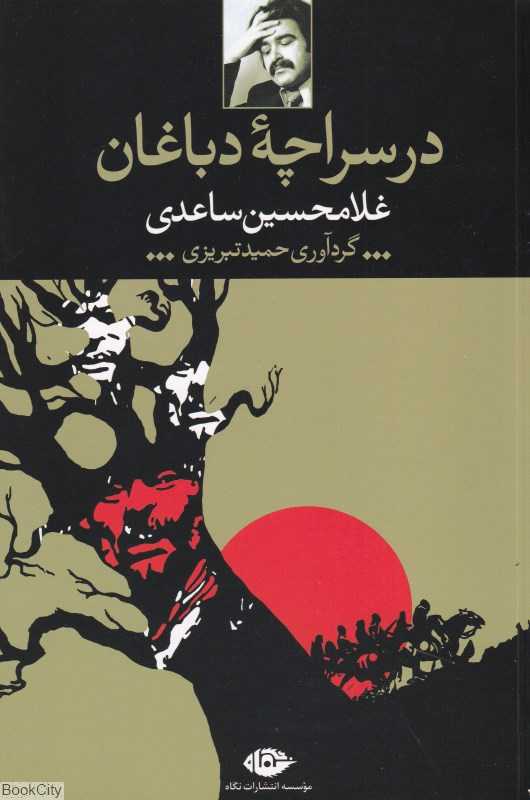 در سراچه دباغان