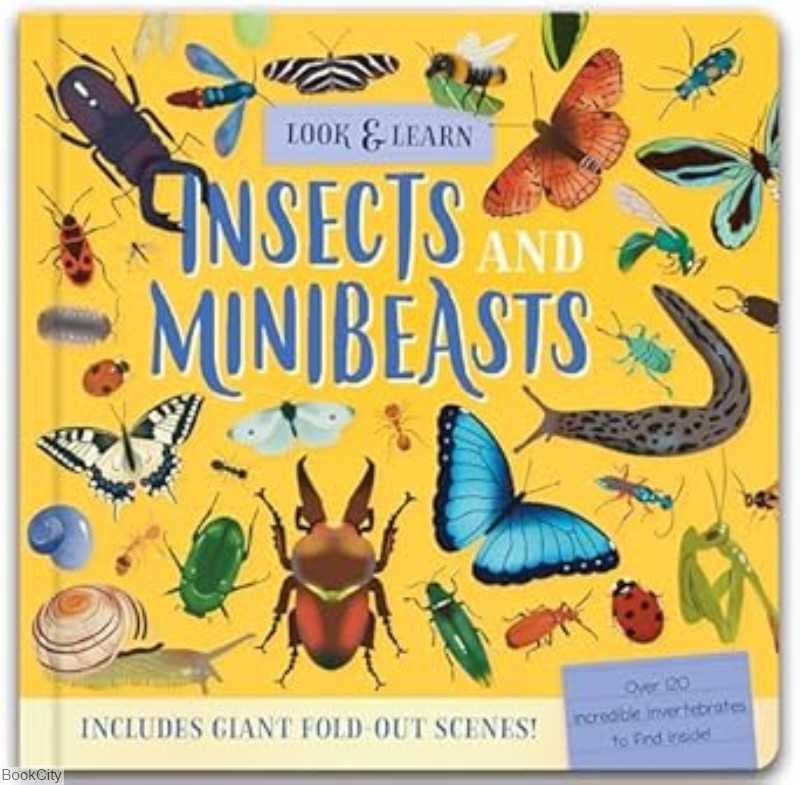 Look and find Insects and Minibeasts