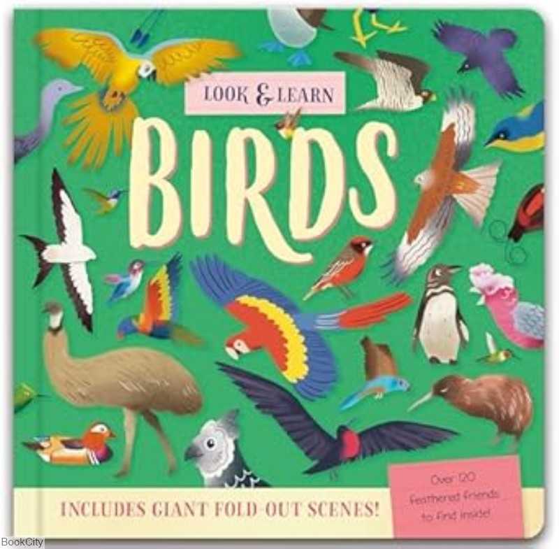 Look and Find Birds