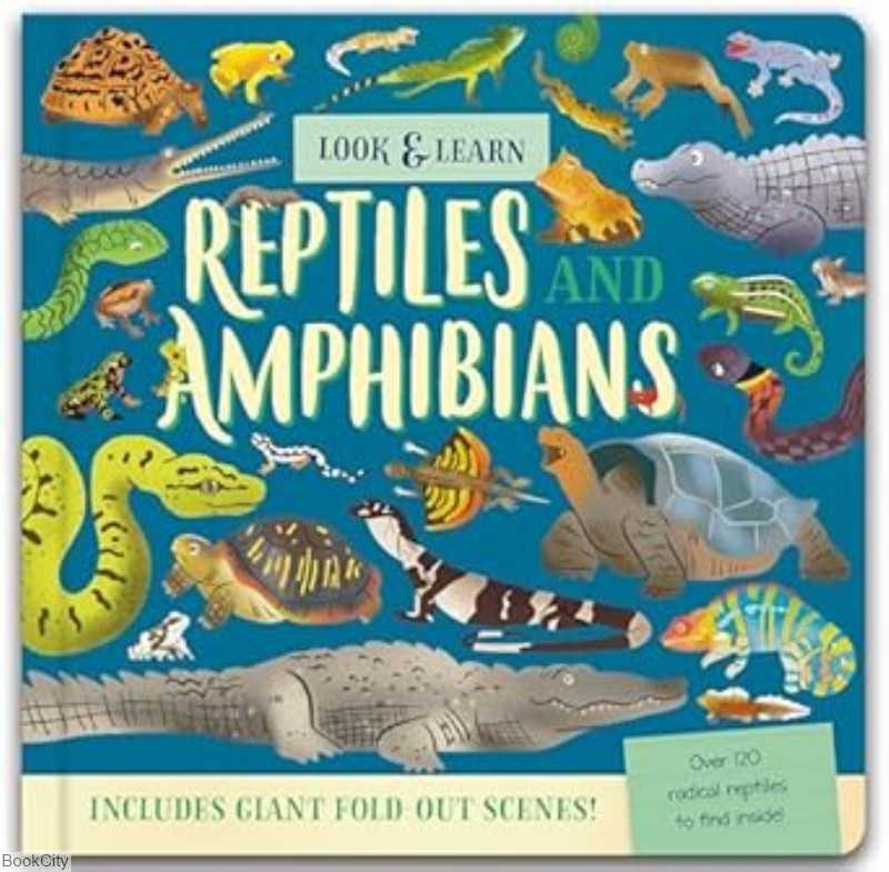 Look and Find Reptiles and Amphibians