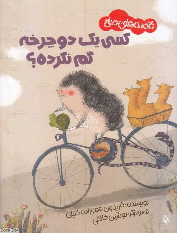 کسی یک دوچرخه گم نکرده