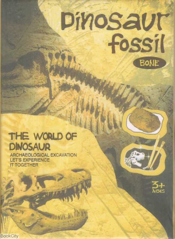 فسیل دایناسور کوچک 2-Kl-001 - 0