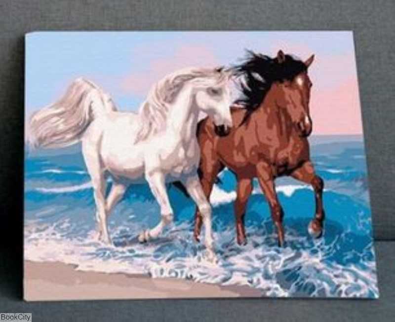 کیت رنگ‌آمیزی Kaiko Funart 40×50 0124