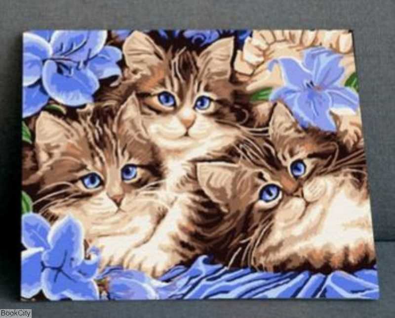 کیت رنگ‌آمیزی Kaiko Funart 40×50 0135