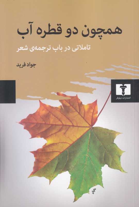 همچون دو قطره آب