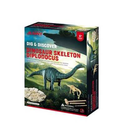 فسیل دایناسور Dinosaur Skeleton Diplodocus JN041