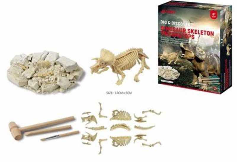 فسیل دایناسور Dinosaur Skeleton Triceratops JN044