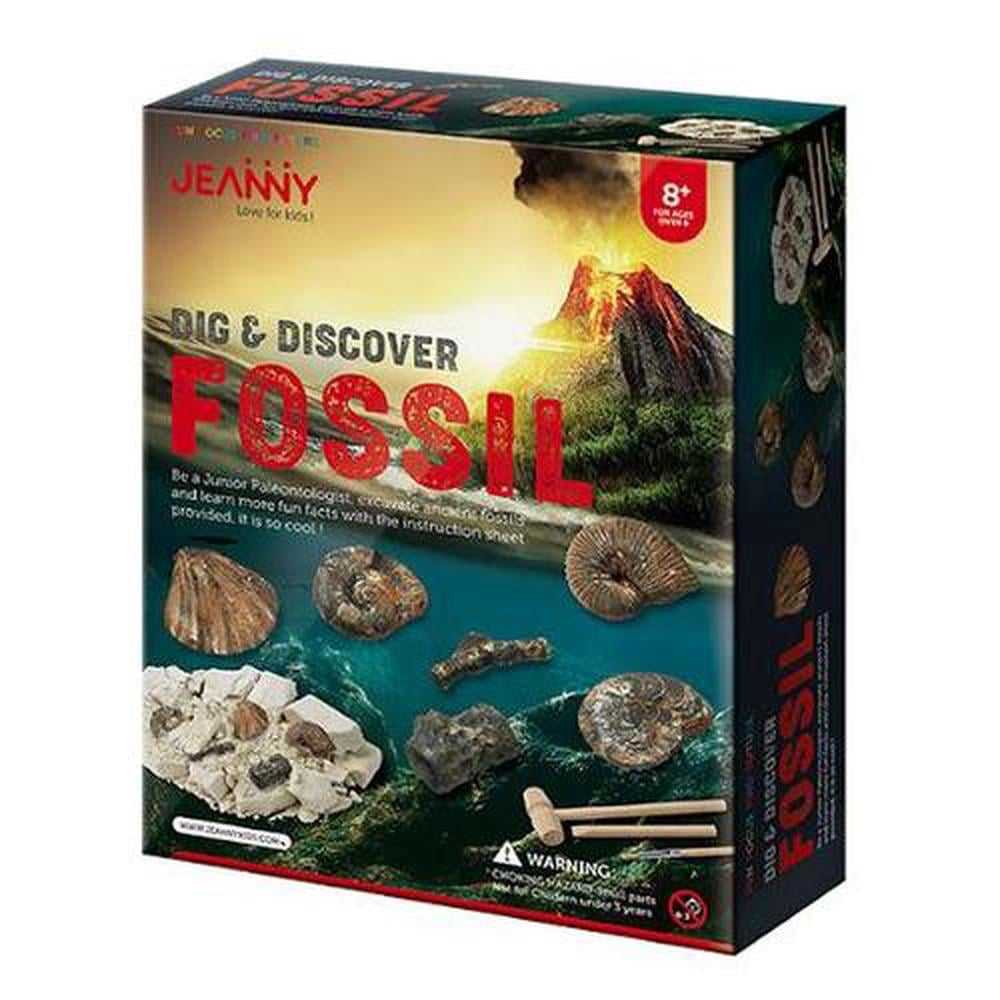 فسیل Fossil JN038